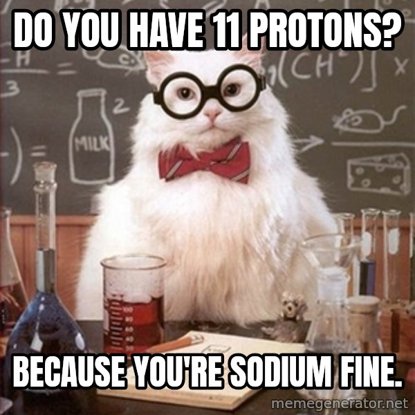 Science Cat meme: Do you have 11 protons? / Because you're sodium fine.