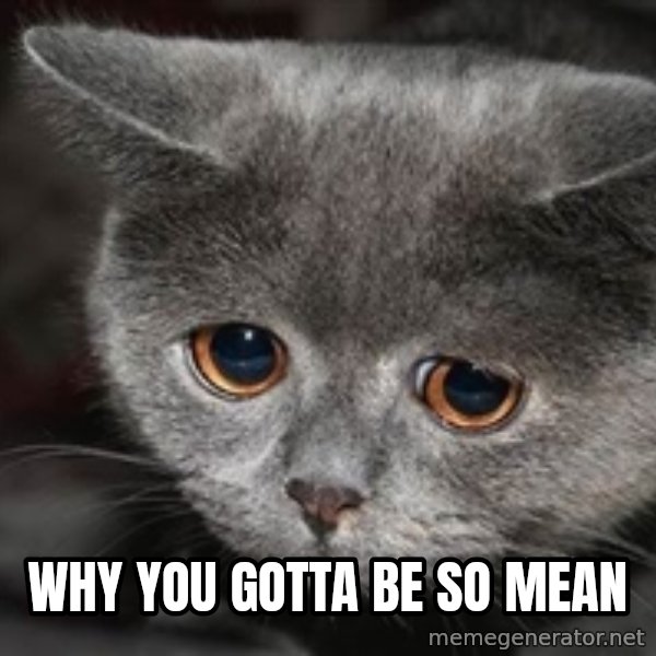 Sadcat meme: Why you gotta be so mean