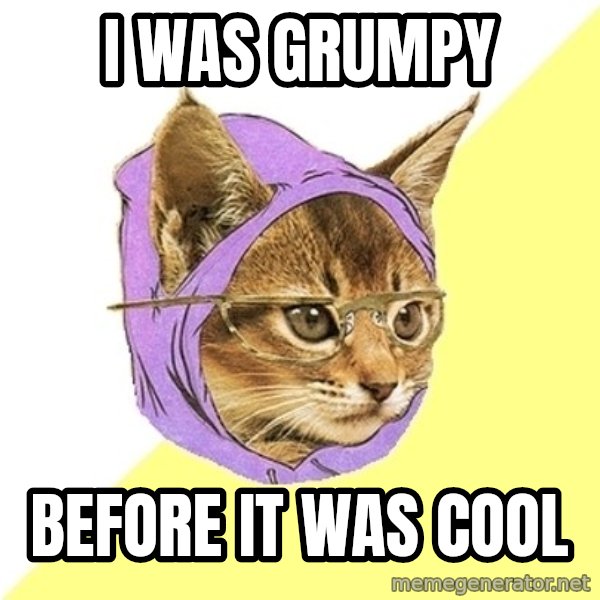 Hipster Kitty meme: I was grumpy / before it was cool