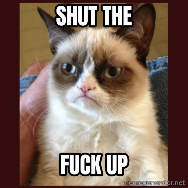 Grumpy Cat  meme: Shut THE / FUCK UP