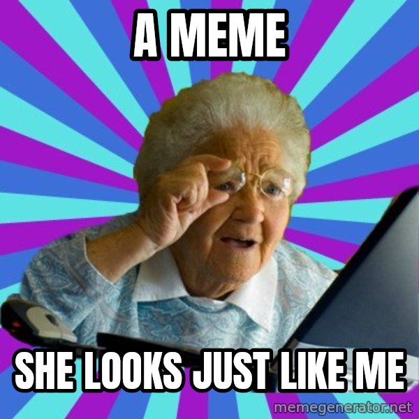 old lady meme: A meme / She looks just like me