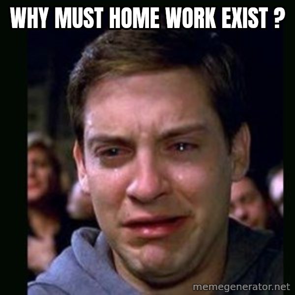crying peter parker meme: WHY MUST HOME WORK EXIST ?