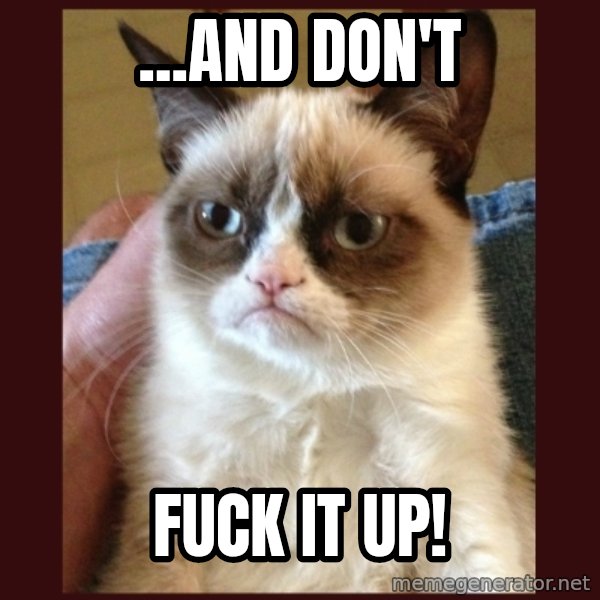 Grumpy Cat  meme: ...AND DON'T / fuck it up!