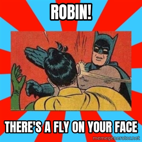 Batman Bitchslap meme: ROBIN! / THERE'S A FLY ON YOUR FACE