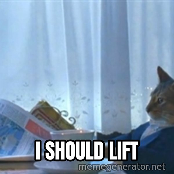 Sophisticated Cat meme: I should lift
