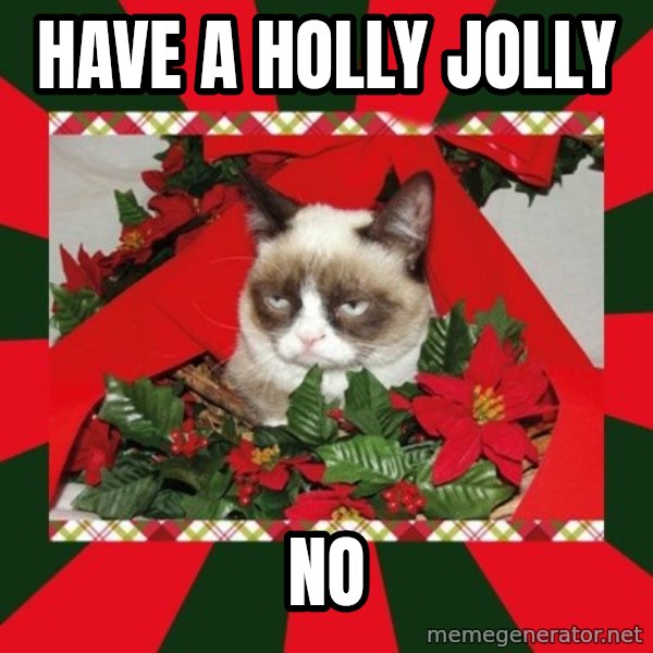 GRUMPY CAT ON CHRISTMAS meme: Have a holly jolly / no
