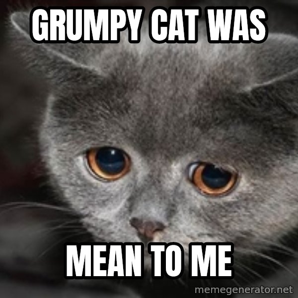 Sadcat meme: grumpy cat was / mean to me