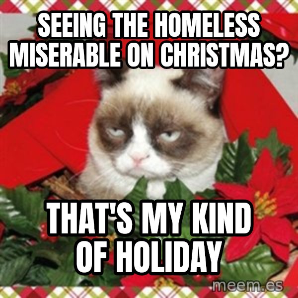 Grumpy Christmas Cat meme: Seeing the homeless miserable on christmas? / that's my kind of holiday