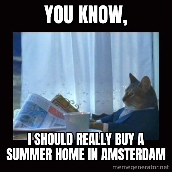 i should buy a boat cat meme: you know, / i should really buy a summer home in amsterdam