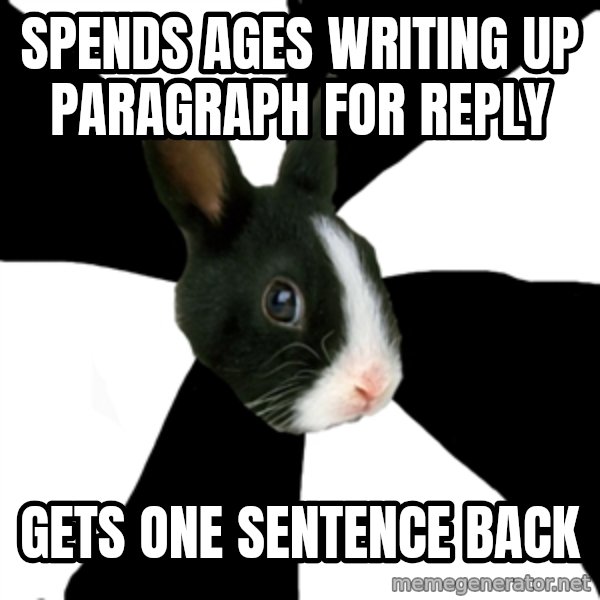 Roleplaying Rabbit meme: Spends ages writing up paragraph for reply / gets one sentence back