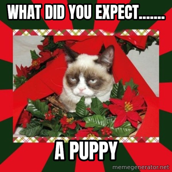 GRUMPY CAT ON CHRISTMAS meme: WHAT DID YOU EXPECT....... / A PUPPY