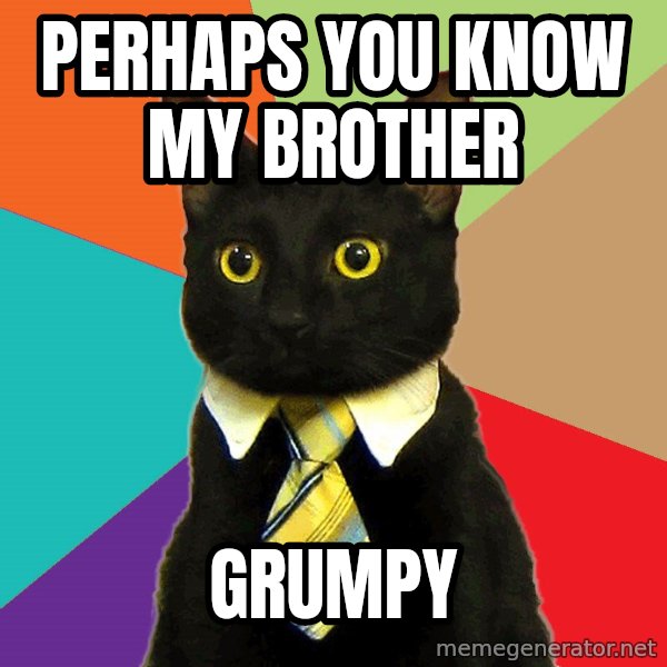 Business Cat meme: perhaps you know my brother / grumpy
