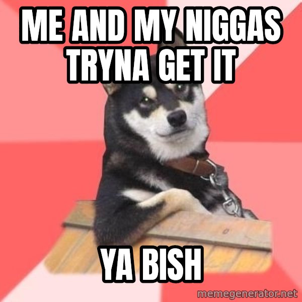 Cool Dog meme: Me and my niggas tryna get it / ya bish