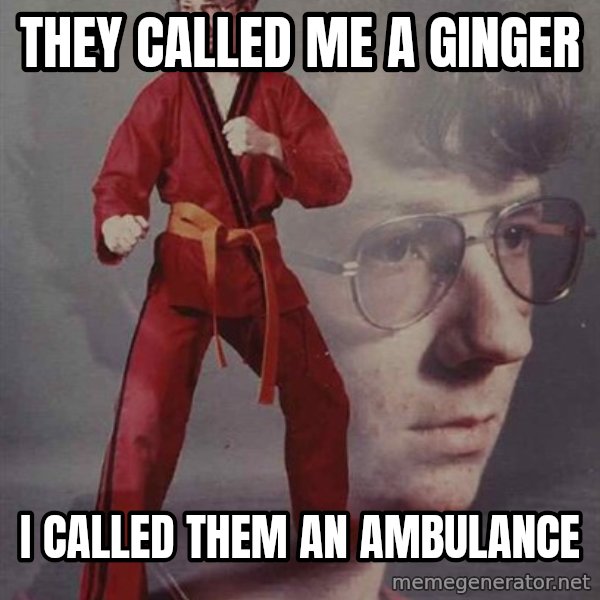 PTSD Karate Kyle meme: THEY CALLED ME A GINGER / I CALLED THEM AN AMBULANCE