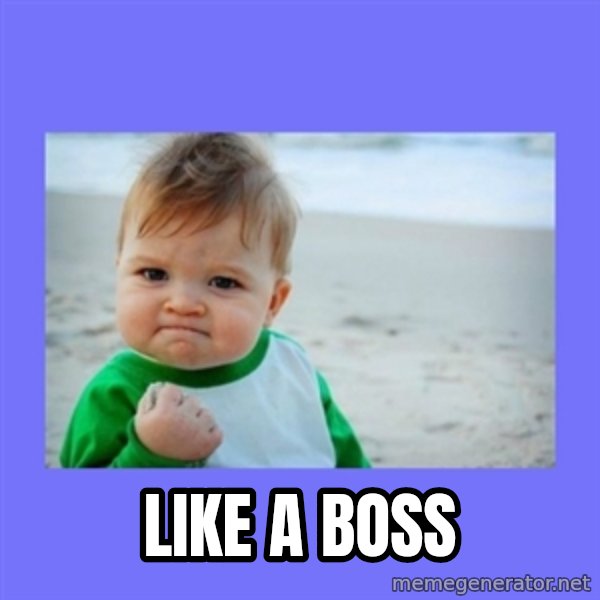 Success Kid meme: Like a boss