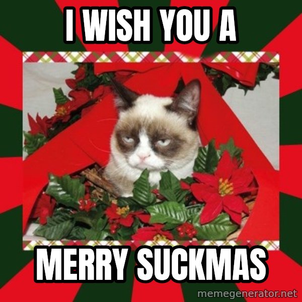 GRUMPY CAT ON CHRISTMAS meme: I wish you a / merry suckmas