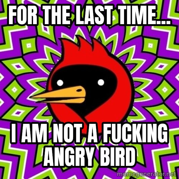 Omsk Crow meme: For the last time... / I am not a fucking angry bird
