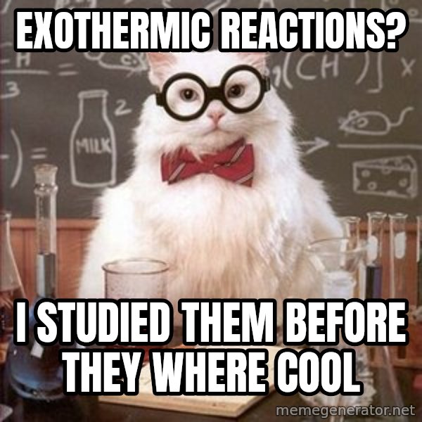 Chemistry Cat meme: Exothermic reactions? / I studied them before they where cool