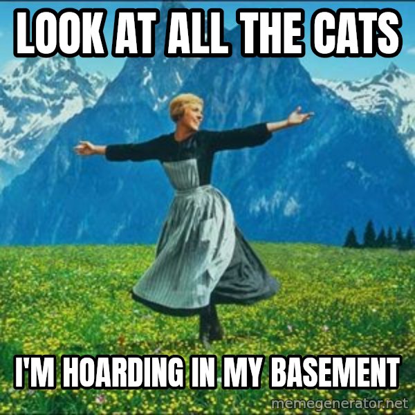 Look at all the things meme: LOOK AT ALL THE CATS / I'M HOARDING IN MY BASEMENT