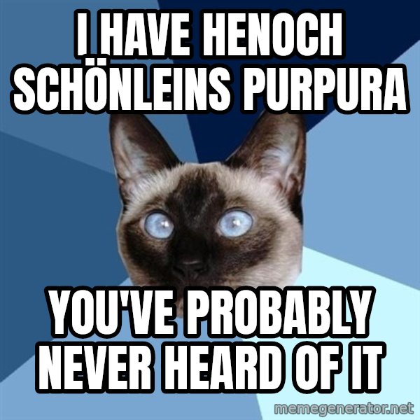 Chronic Illness Cat meme: I have henoch schönleins purpura / you've probably never heard of it