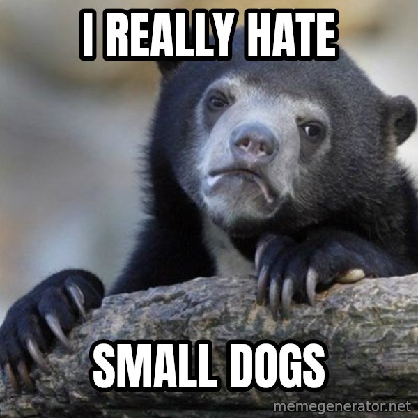 Confession Bear meme: I really hate / small dogs
