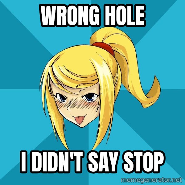 Horney Samus meme: WRONG HOLE / I DIDN'T SAY STOP