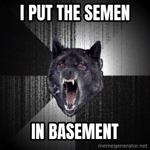 Insanity Wolf meme: i put the semen / in basement