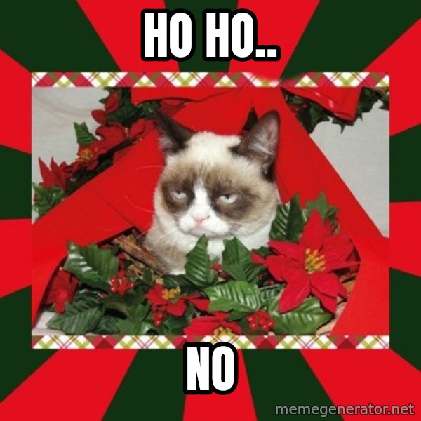 GRUMPY CAT ON CHRISTMAS meme: ho  ho.. / no