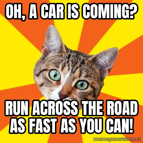 Bad Advice Cat meme: Oh, a car is coming? / RUN ACRoss the road as fast as you can!