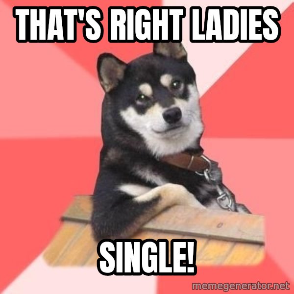 Cool Dog meme: THat's right ladies / single!