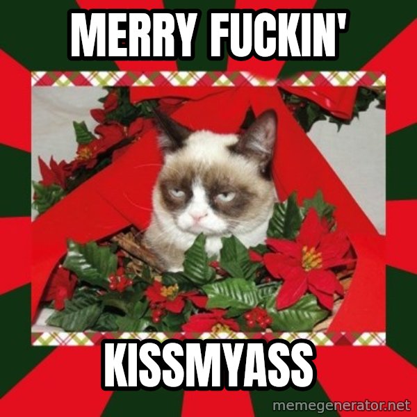 GRUMPY CAT ON CHRISTMAS meme: Merry fuckin' / Kissmyass