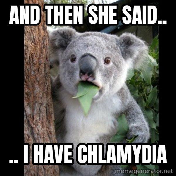 Koala can't believe it meme: and then she said.. / .. I have Chlamydia