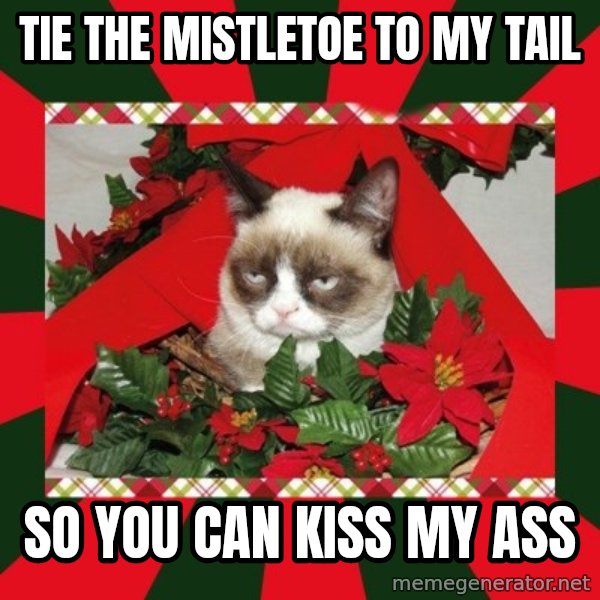 GRUMPY CAT ON CHRISTMAS meme: TIE THE MISTLETOE TO MY TAIL / SO YOU CAN KISS MY ASS