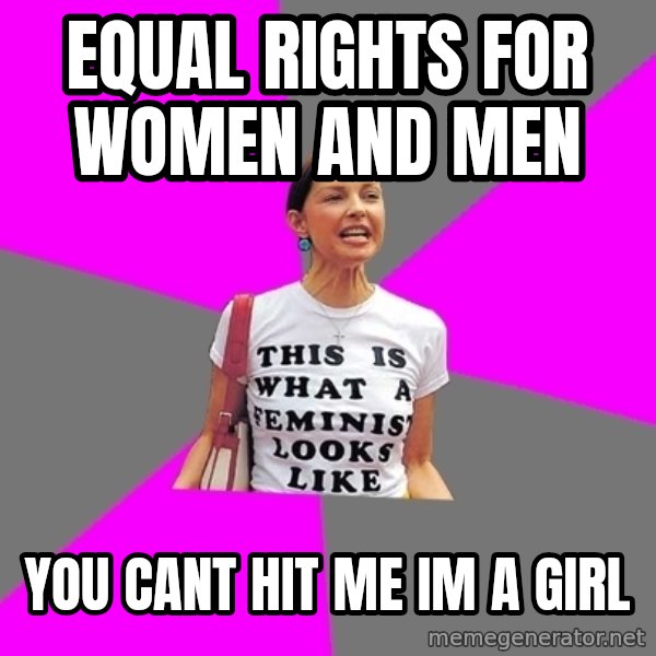 Feminist Cunt meme: Equal rights for women and men / You cant hit me im a girl