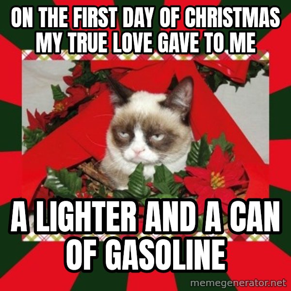 GRUMPY CAT ON CHRISTMAS meme: ON THE FIRST DAY OF CHRISTMAS MY TRUE LOVE gAVE TO ME / A LIGHTER AND A CAN Of gasoline