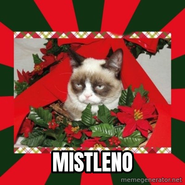GRUMPY CAT ON CHRISTMAS meme: mistleno