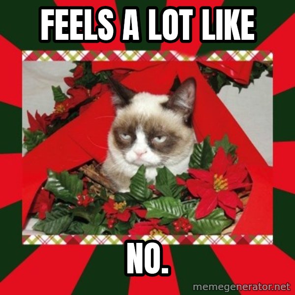 GRUMPY CAT ON CHRISTMAS meme: Feels a lot like / no.