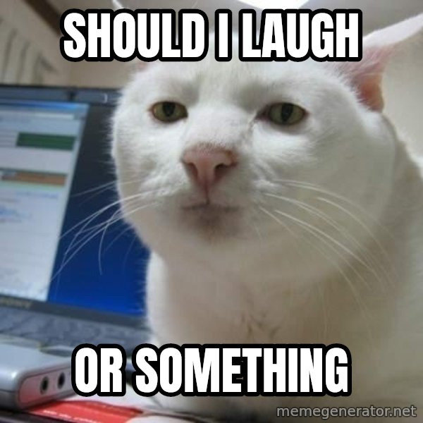 Serious Cat meme: should i laugh / Or something