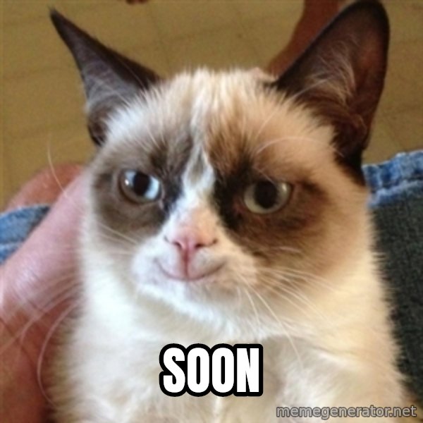 Grumpy Cat Smile meme: SOON