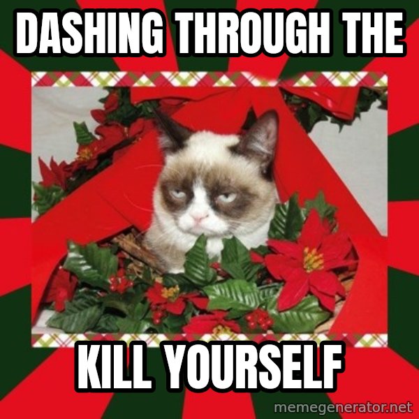 GRUMPY CAT ON CHRISTMAS meme: DASHING THROUGH THE / KILL YOURSELF