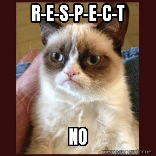 Grumpy Cat  meme: r-e-s-p-e-c-t / no