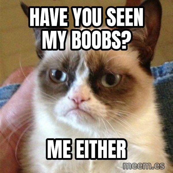 Grumpy Cat  meme: Have you seen my boobs? / Me Either
