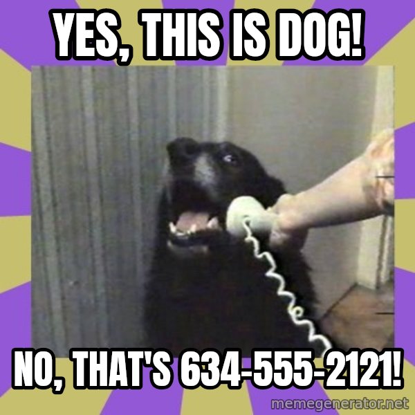 Yes, this is dog! meme: YES, THIS IS DOG! / NO, THAT'S 634-555-2121!