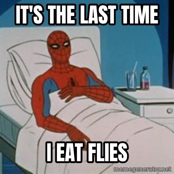 spiderman hospital meme: IT'S THE LAST TIME / I EAT FLIES