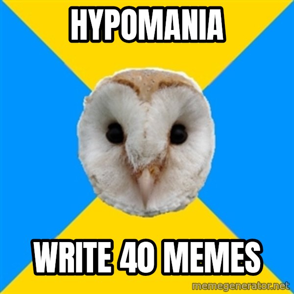 Bipolar Owl meme: hypomania / write 40 memes