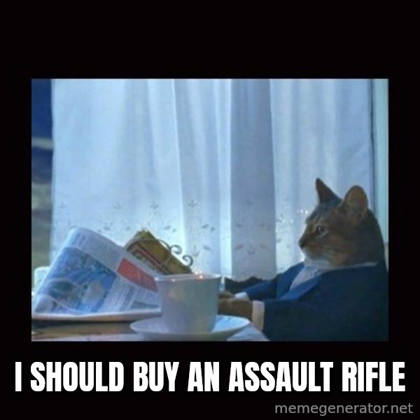 i should buy a boat cat meme: I SHOULD BUY AN     ASSAULT RIFLE