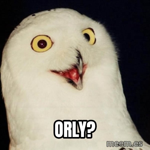 Orly Owl meme: ORLY?