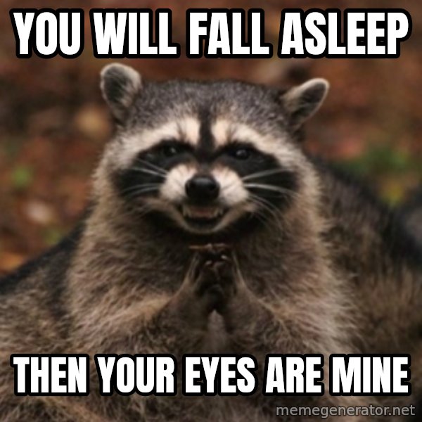 evil raccoon meme: YOU WILL FALL ASLEEP / THEN YOUR EYES ARE MINE
