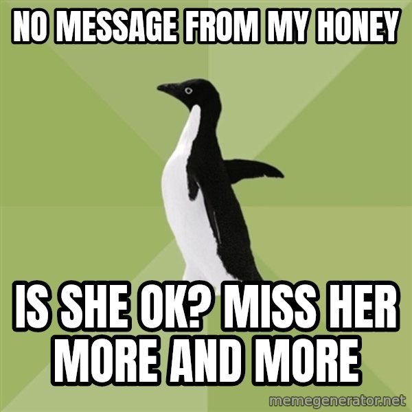 Socially Average Penguin meme: no message from my honey / is she ok? miss her more and more