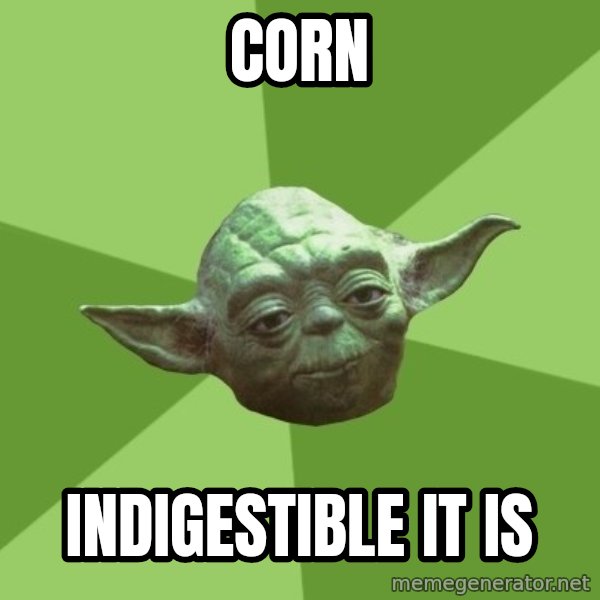 Advice Yoda Gives meme: corn / indigestible it is